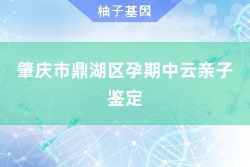 肇庆市鼎湖区孕期中云亲子鉴定服务网点