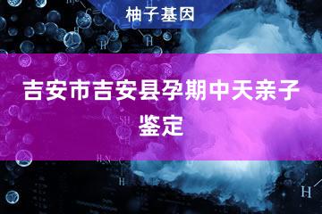 吉安市吉安县孕期中天亲子鉴定便民服务处