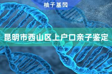 昆明市西山区上户口亲子鉴定咨询服务点