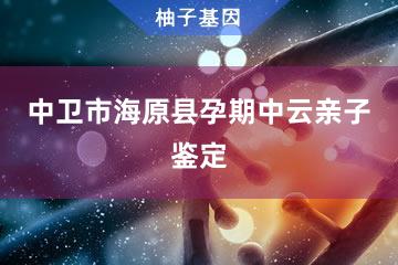 中卫市海原县孕期中云亲子鉴定办理处