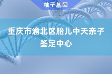 重庆市渝北区胎儿中天亲子鉴定中心