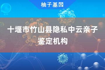 十堰市竹山县隐私中云亲子鉴定机构