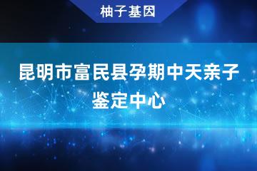 昆明市富民县孕期中天亲子鉴定中心