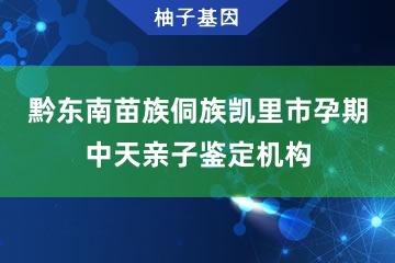 黔东南苗族侗族自治州凯里市孕期中天亲子鉴定机构