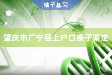 肇庆市广宁县上户口亲子鉴定咨询服务点