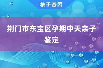 荆门市东宝区孕期中天亲子鉴定便民服务处