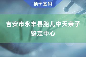 吉安市永丰县胎儿中天亲子鉴定中心