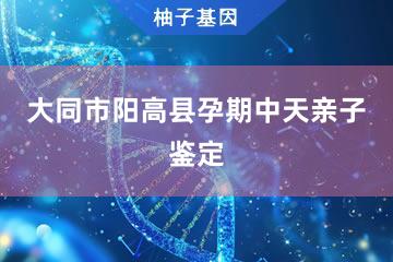 大同市阳高县孕期中天亲子鉴定服务网点