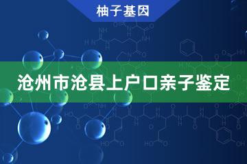 沧州市沧县上户口亲子鉴定咨询服务点