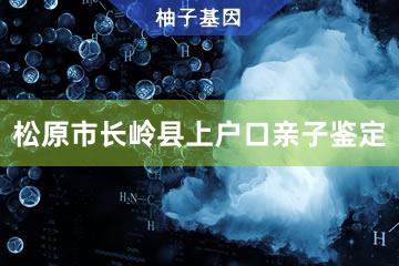 松原市长岭县上户口亲子鉴定咨询服务点