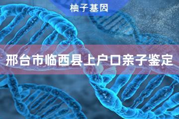 邢台市临西县上户口亲子鉴定便民服务处