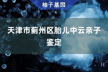 天津市蓟州区胎儿中云亲子鉴定咨询服务点