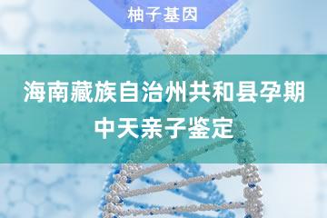 海南藏族自治州共和县孕期中天亲子鉴定便民服务处