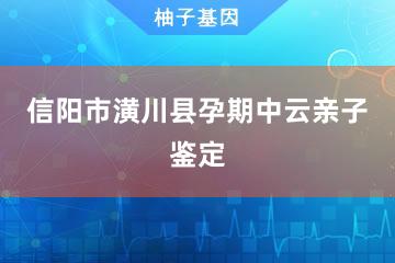 信阳市潢川县孕期中云亲子鉴定办理处