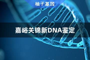 嘉峪关锦新DNA鉴定便民办事处