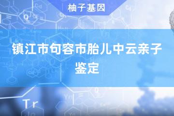 镇江市句容市胎儿中云亲子鉴定咨询服务点