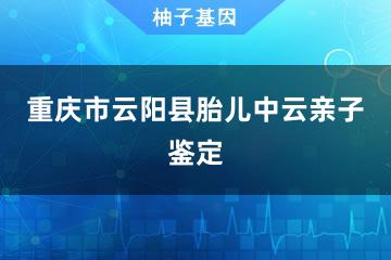 重庆市云阳县胎儿中云亲子鉴定咨询服务点