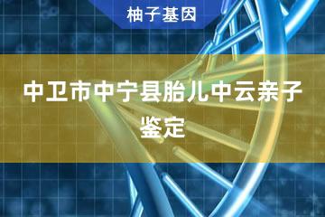 中卫市中宁县胎儿中云亲子鉴定咨询服务点