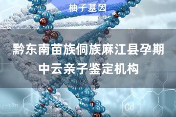 黔东南苗族侗族自治州麻江县孕期中云亲子鉴定机构