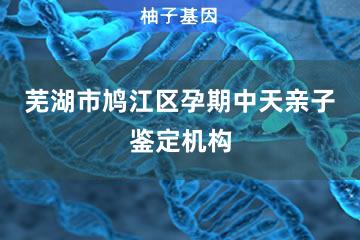 芜湖市鸠江区孕期中天亲子鉴定机构