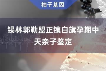 锡林郭勒盟正镶白旗孕期中天亲子鉴定受理处