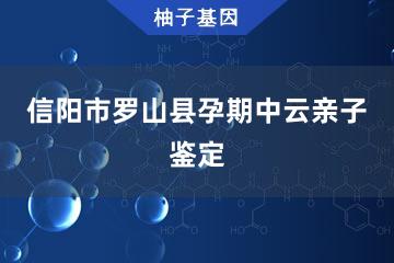 信阳市罗山县孕期中云亲子鉴定受理处