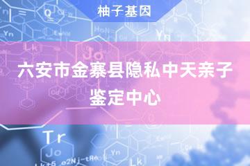 六安市金寨县隐私中天亲子鉴定中心