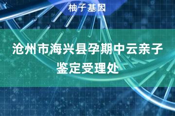 沧州市海兴县孕期中云亲子鉴定受理处