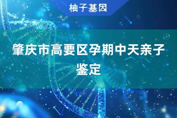 肇庆市高要区孕期中天亲子鉴定便民服务处