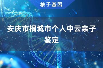 安庆市桐城市个人中云亲子鉴定服务网点