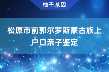 松原市前郭尔罗斯蒙古族自治县上户口亲子鉴定受理处