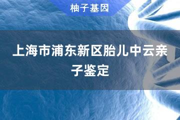 上海市浦东新区胎儿中云亲子鉴定咨询服务点