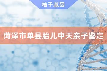 菏泽市单县胎儿中天亲子鉴定便民服务处