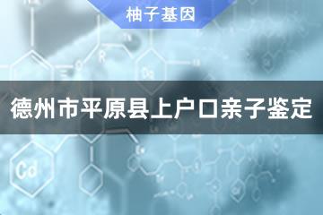 德州市平原县上户口亲子鉴定咨询服务点