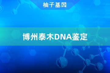 博州泰木DNA鉴定便民办事处