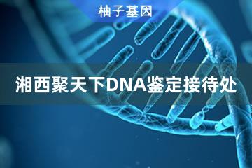 湘西聚天下DNA鉴定接待处