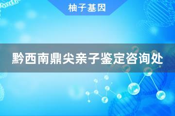 黔西南鼎尖亲子鉴定咨询处