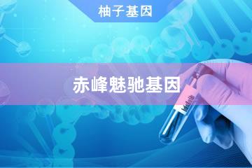 赤峰魅驰基因检测服务中心