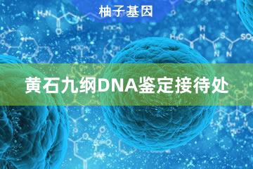 黄石九纲DNA鉴定接待处