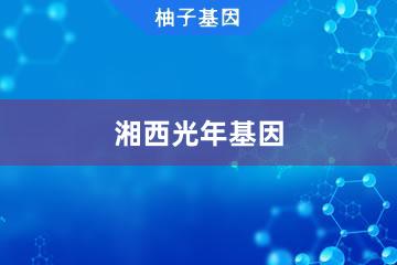 湘西光年基因检测服务中心