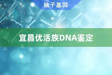 宜昌优活族DNA鉴定便民办事处