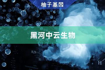 黑河中云生物