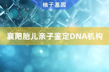 襄阳胎儿亲子鉴定DNA机构