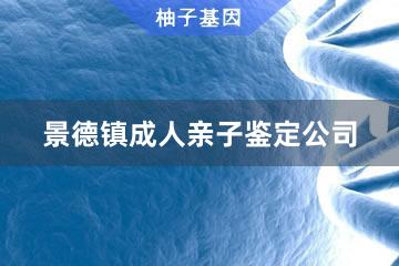 景德镇成人亲子鉴定公司