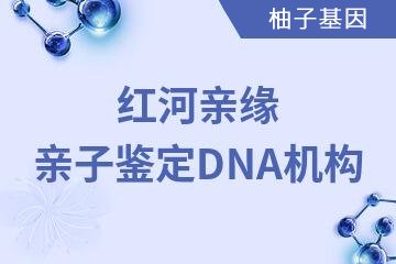 红河亲缘亲子鉴定DNA机构