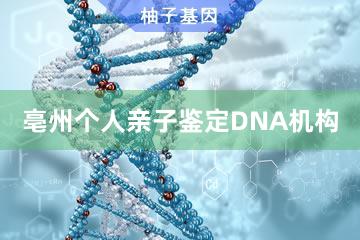 亳州个人亲子鉴定DNA机构