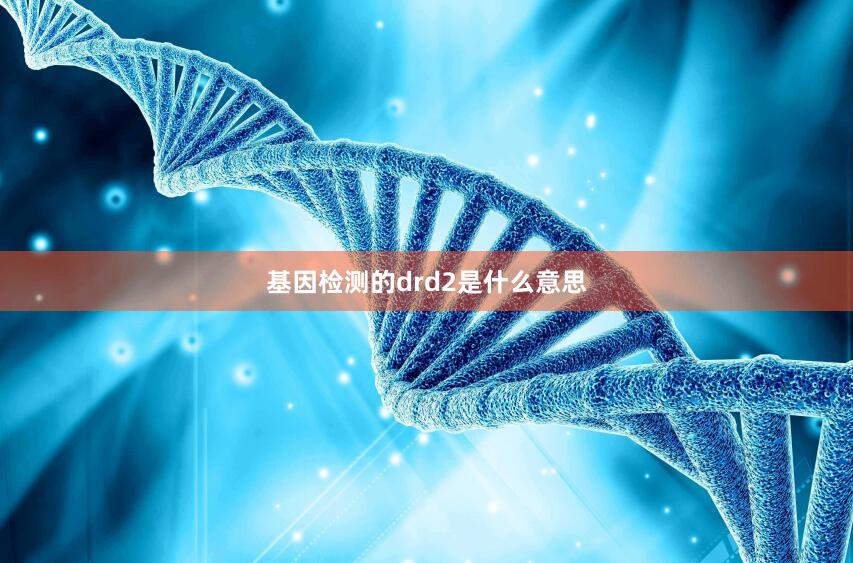 基因检测的drd2是什么意思