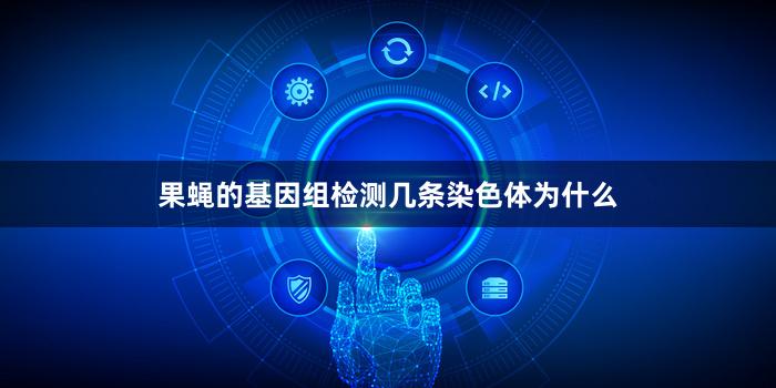 果蝇的基因组检测几条染色体为什么