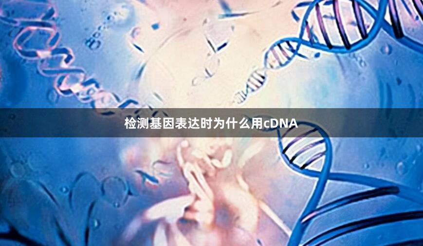 检测基因表达时为什么用cDNA