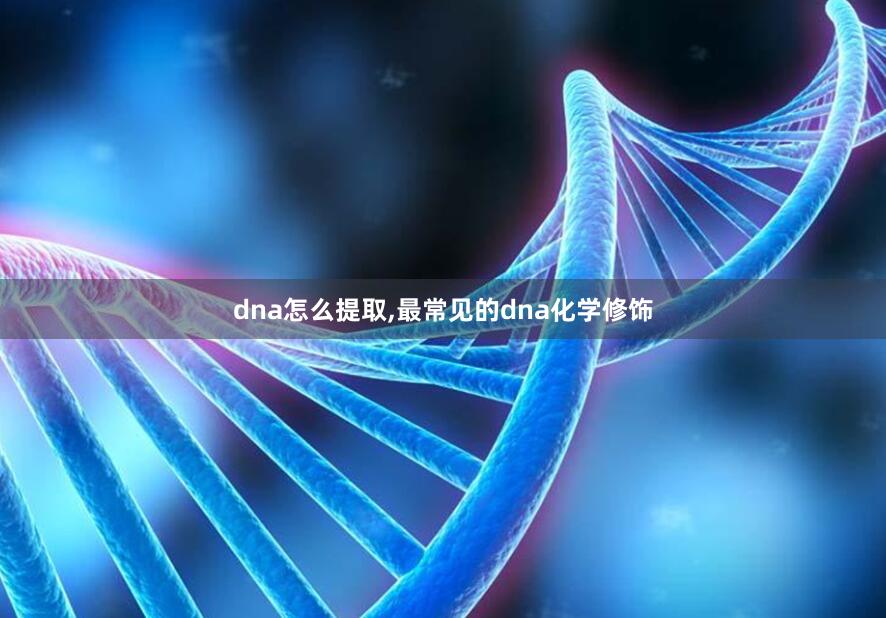 dna怎么提取,最常见的dna化学修饰